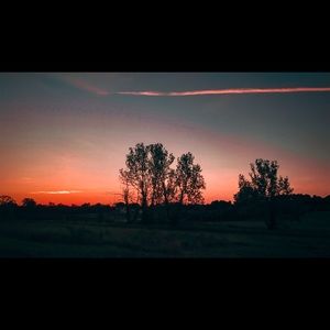 Meet your Posher, Alisson